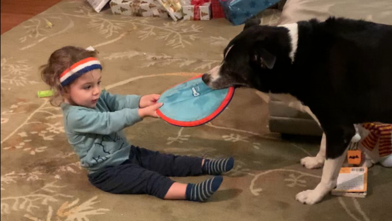 Tug of War with Toddler